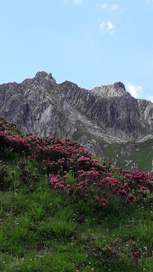 부르생모리스 Les Campanules 아파트 외부 사진